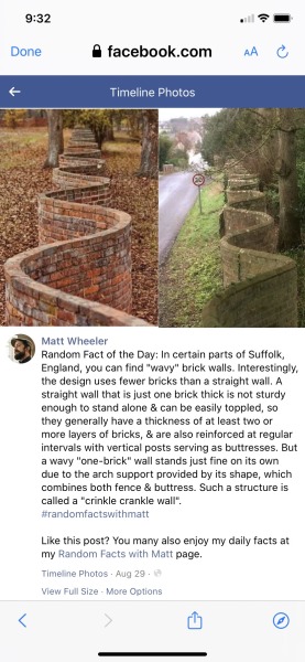 goodgirl81:weaselle:permaculturefarmingdesigns:physics is wildUmm random facts with Matt is my kinda guy. I love random facts 🤷🏼‍♀️