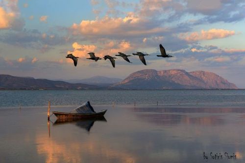 Lakes by Sotiris SiomisPamvotis lake, IoanninaKerkini lake, SerresKlisova lagoon, Missolonghi