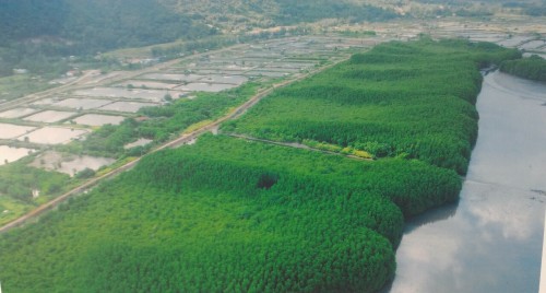 Khung Krabaen, ChanthaburiEnvironmental/conservation area