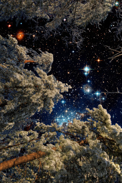 l0stship:  Starry Sky (by mojo2u) source