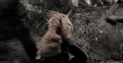 ravcnsclaw:  I’m speeding up and this is the red, orange, yellow flicker beat sparking up my heart. 