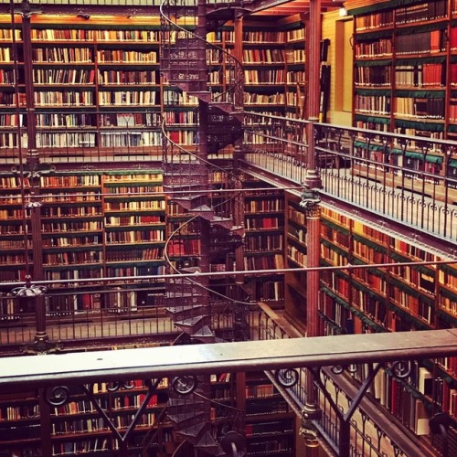 The amazing library at the Rijksmuseum - it’s like all my childhood dreams came true!#amsterdam #rij