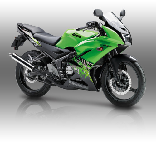 XXX stevejok:  Kawasaki Ninja RR photo