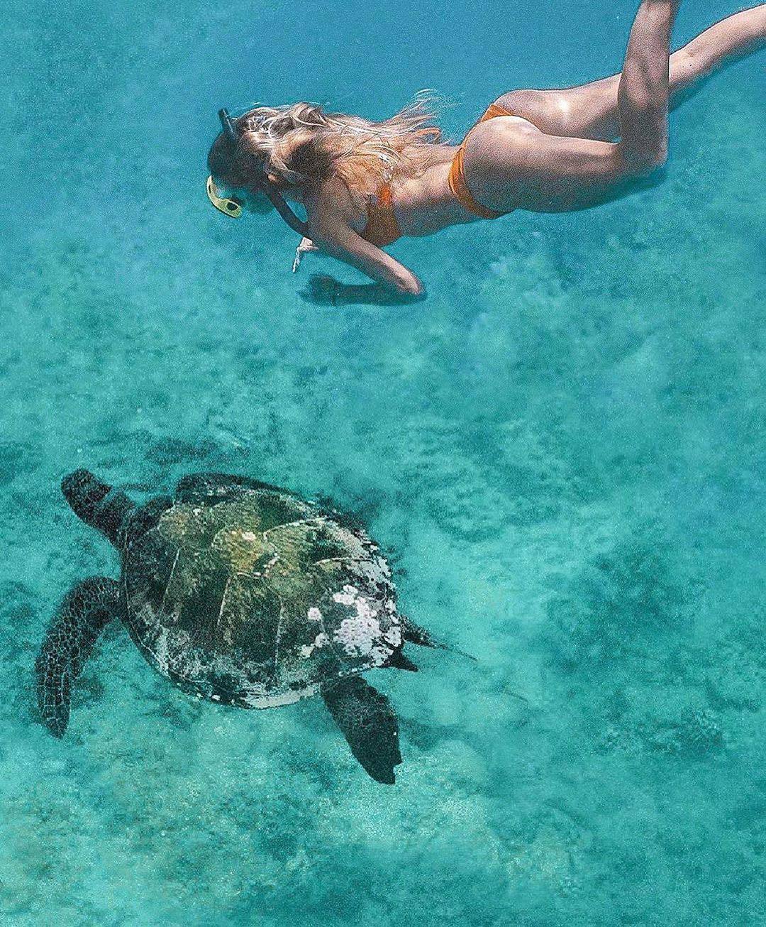 arnold-ziffel:Time to get away… with her…