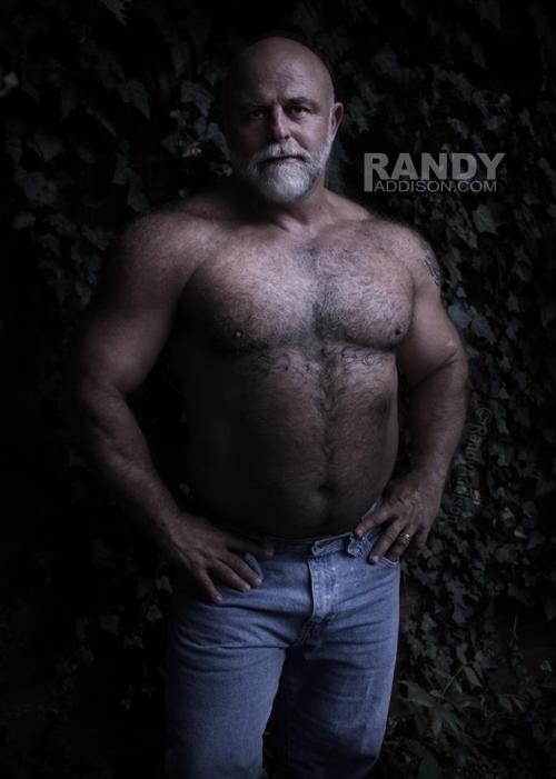 bear-republic:  www.facebook.com/RandyAddisonArtist/