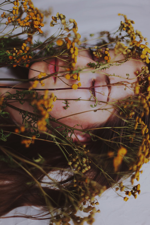 wolftramp:  Vintage Blog ☼  