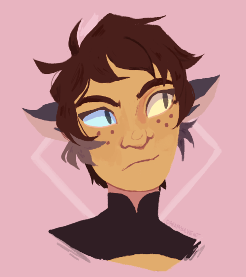 dreamsolvent:Short haired catra, but she keeps the ear floofs