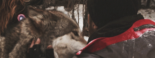 marielikestodraw:  nyenoi:  the bourne legacy behind the scenes  Well, finish me
