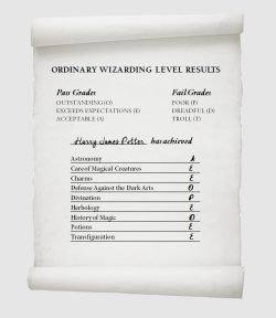 effletrinkets:   duality challenge: 1. strength / weakness  An Ordinary Wizarding Level, or O.W.L, is a test taken by students during their fifth year at Hogwarts. The scores a student achieves display which subjects are their strengths and weaknesses,