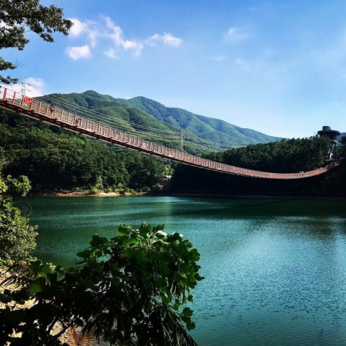 Un pont suspendu en pleine nature inauguré en mars 2018 : absolument magnifique !! Nature is so wond