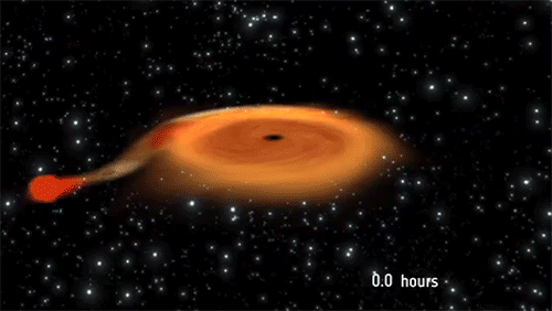 MAXI J1659-152, a black hole more than three times the size of our sun is feeding off of a red dwarf companion star that is about a fifth of the size of our sun. They’re roughly a million kilometers apart, and the orbit is happening once every 2.4...