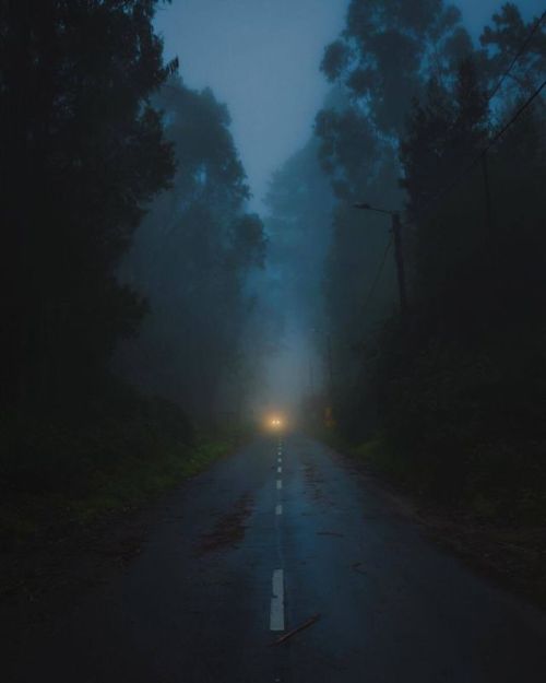 featureshoot:2018 Feature Shoot Emerging Photography contender Nuno Serrão (@nunoserrao) captures the magical atmosphere of foggy nights in Madeira in his series ‘Under a Storm’. “Every once in a while, a storm reminds us that it’s a semi-tropical