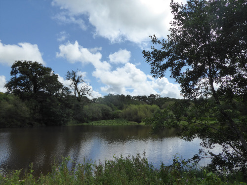 The sun came out in Wales today and I visited the National Botanic Gardens