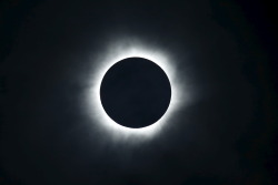 nevver:  Total Eclipse 