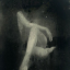 worshipnymph