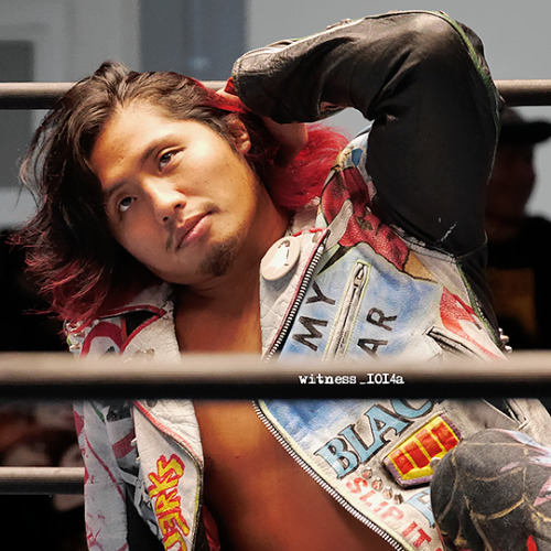 NJPW Daily