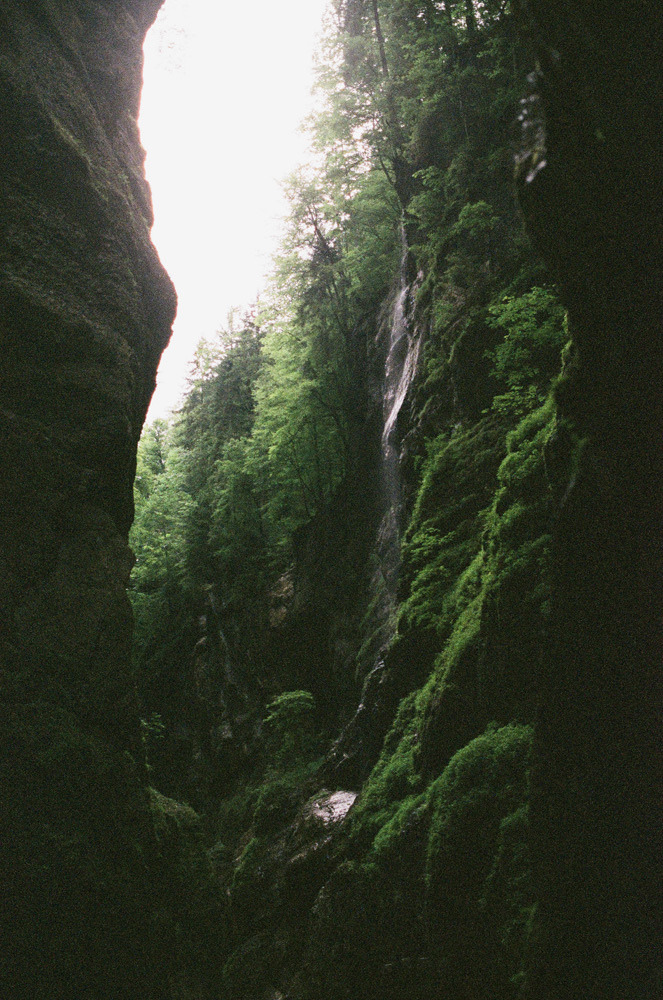 hellanne:  (by calimerise) 