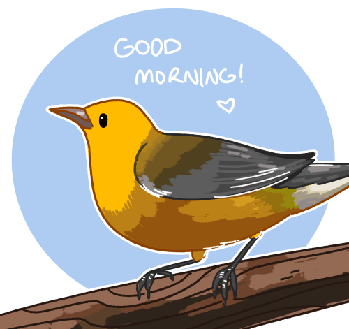 incaseyouart:More morning birbs!! Really enjoying making these~ American Redstart, Snow Bunting, Hor