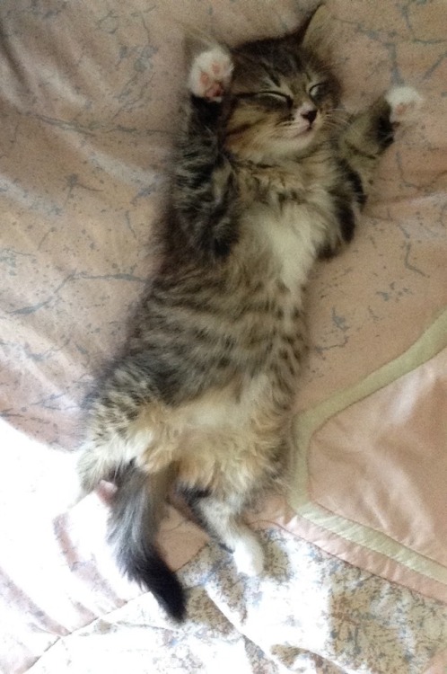 elienafisher:she sleeps