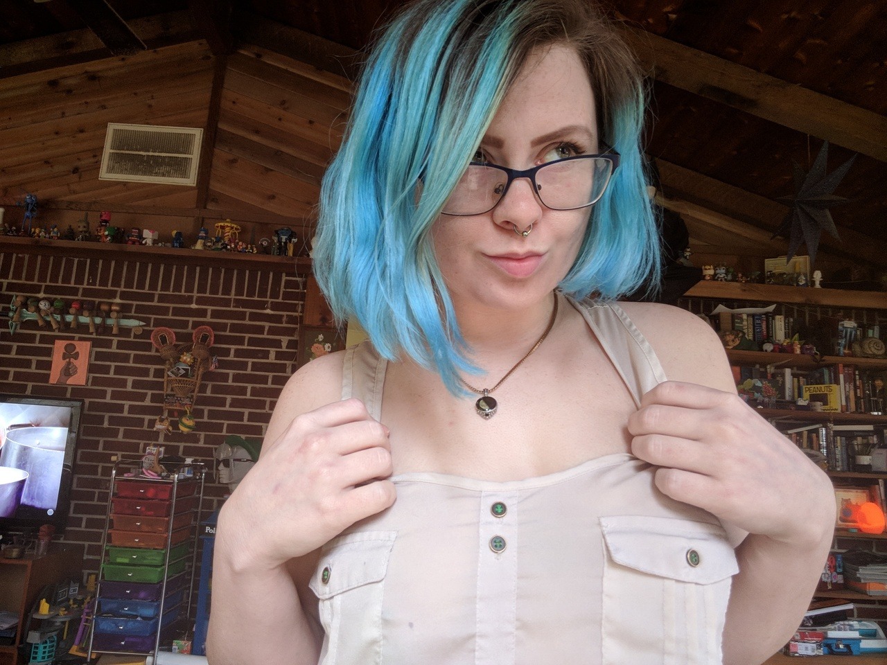 chellesilverstein:  videos     live shows  