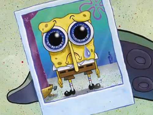 tortoisefeet:a spongebob moodboard