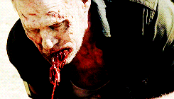 rickylsdeleting-deactivated2014:  the walking dead meme  | two seasons [2/2]   