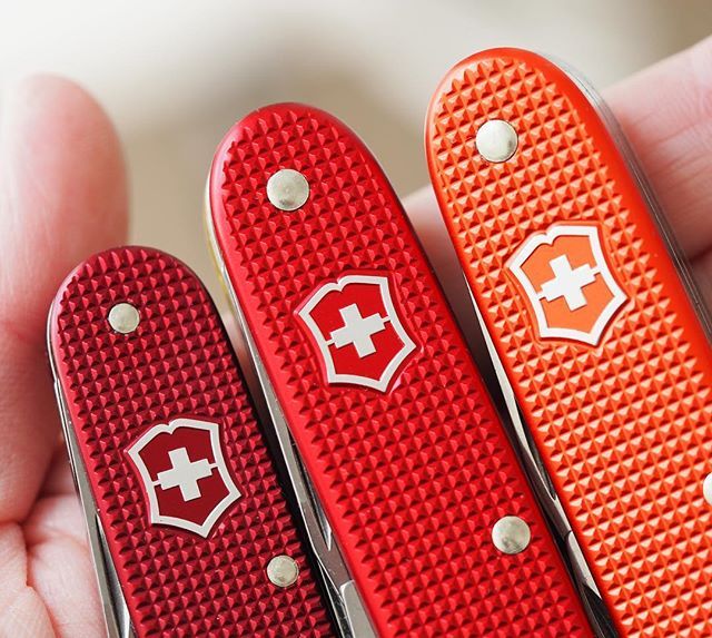 Not long until a new red to add to the collection! These are Burgundy, Regular and Winterthur red. #victorinox #victorinoxred #victorinoxlimitededition #victorinoxalox #victorinoxpioneer #victorinoxcadet #aloxcadet #aloxpioneer #bicolour #sakallday...