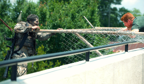 Sex love-the-walking-dead:  The Walking Dead pictures