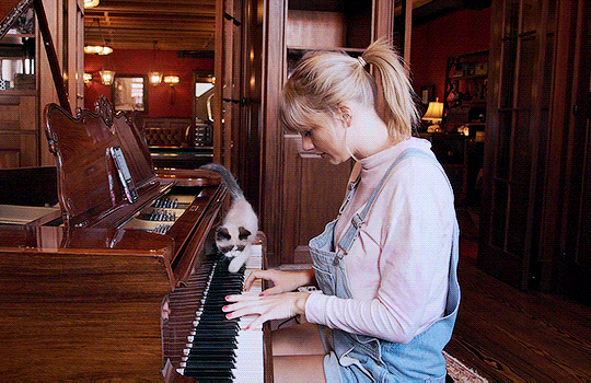 #taylor swift from never cursed