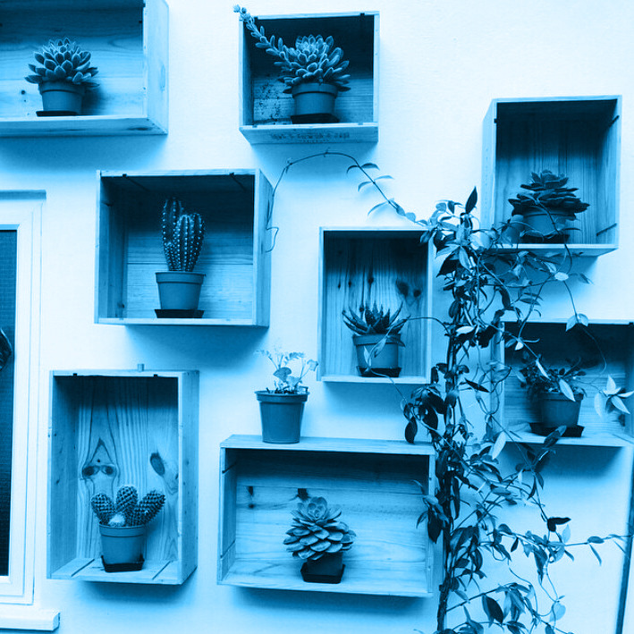 Blue Makes Me Happy — not my photo just my blue source