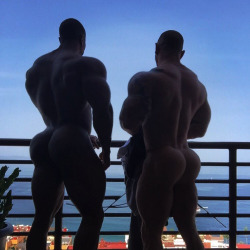 oofahpapa:  musclebruh:  muscleforce2500:  👀 DAMN THEY’RE FUCKING SEXY!!!  ♂♂   http://oofahpapa.tumblr.com/archive