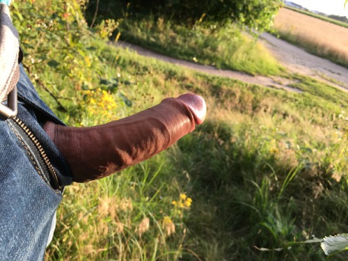 cockring84: Who wants? #bigcock #fatcock #outinpublic #me