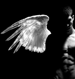 thelandofpleasure:  othroad:  I~Will~Show~You~~The~Mystery Your better angel, your guardian angel Pay no attention to the voices on that other shoulder  …