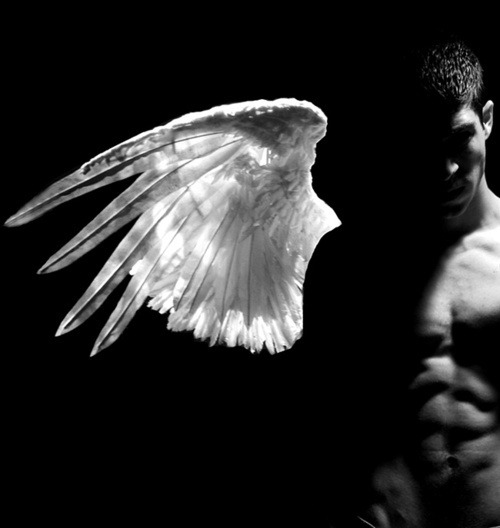 thelandofpleasure:  othroad:  I~Will~Show~You~~The~Mystery Your better angel, your guardian angel Pay no attention to the voices on that other shoulder  …