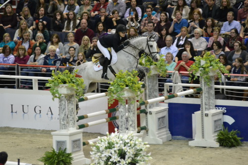 the most beautiful horse i&rsquo;ve ever seen *_* WIHS 2014 &copy; Ranglo