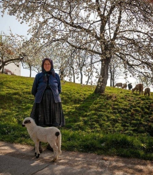 Lovely photos of elderly who never abandoned their village ❤️