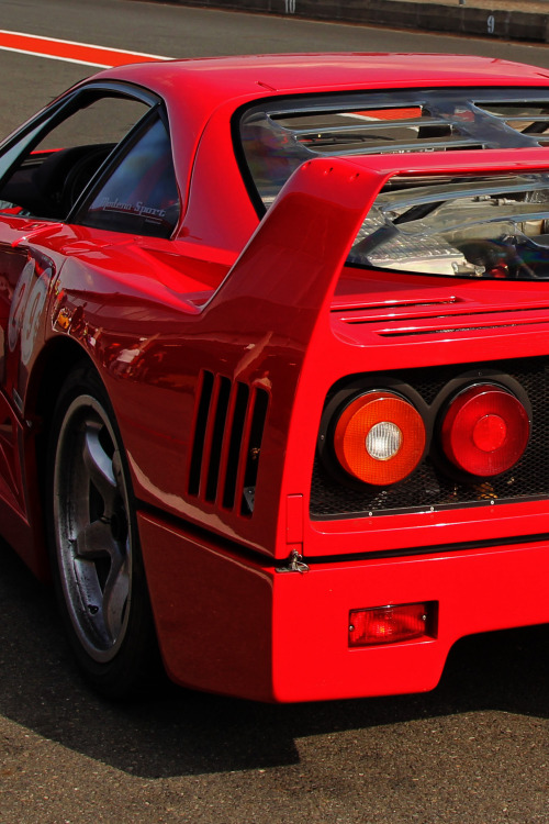  F40 | © | AOI 