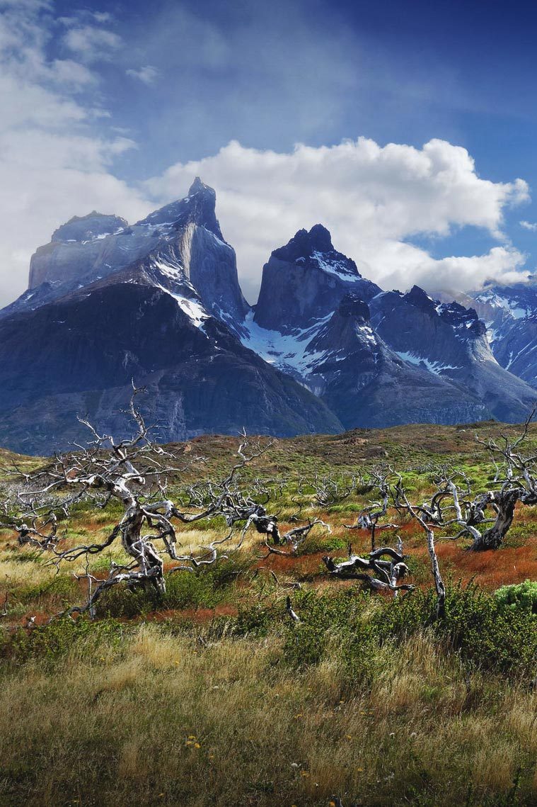 avenuesofinspiration:Torres del Paine | Photographer © | AOI 