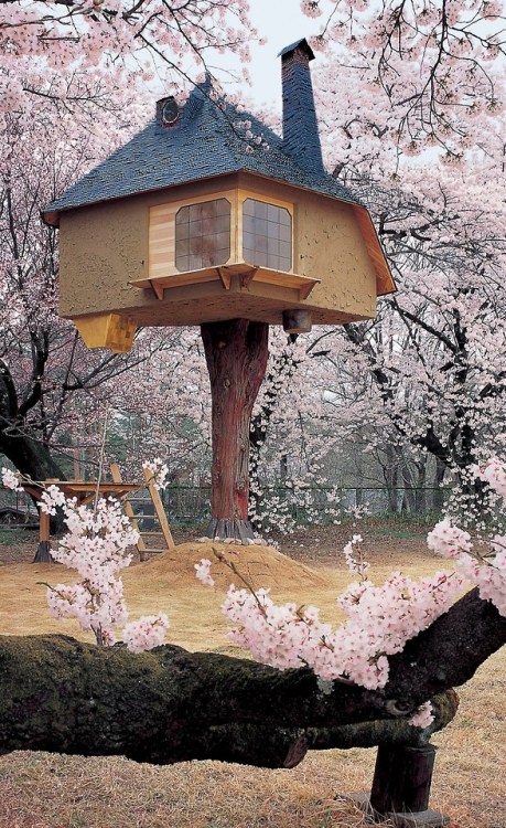 c86: Terunobu Fujimori’s tea houses