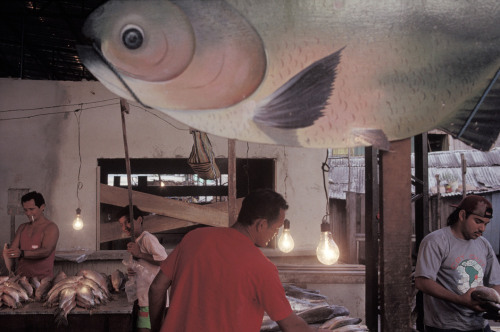 20aliens:BRAZIL. Manaus. 1993. Educandos market.Alex Webb