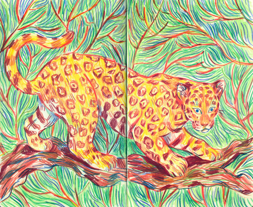 turnipot:Another spread from my sketchbook 🐆