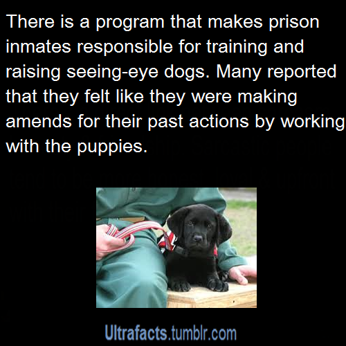 ultrafacts:Source For more facts, follow Ultrafacts