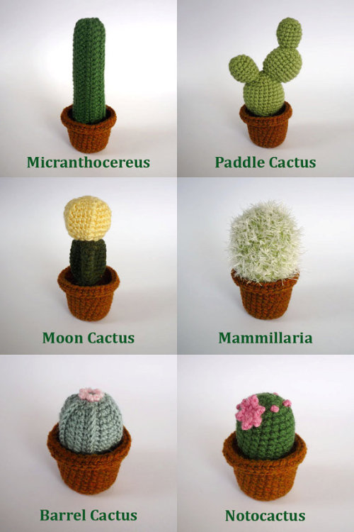 Crocheted Made to Order Cactus, $12.00