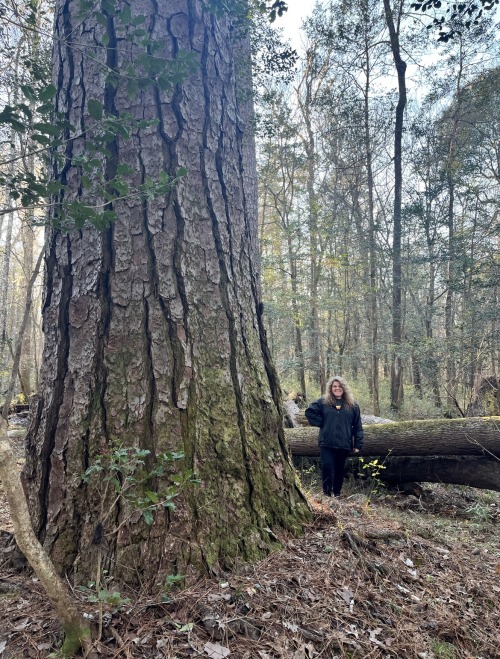 Every Time I Come To Congaree, I Keep Going Deeper Into The Forest, And The Trees Just Keep Getting Bigger.