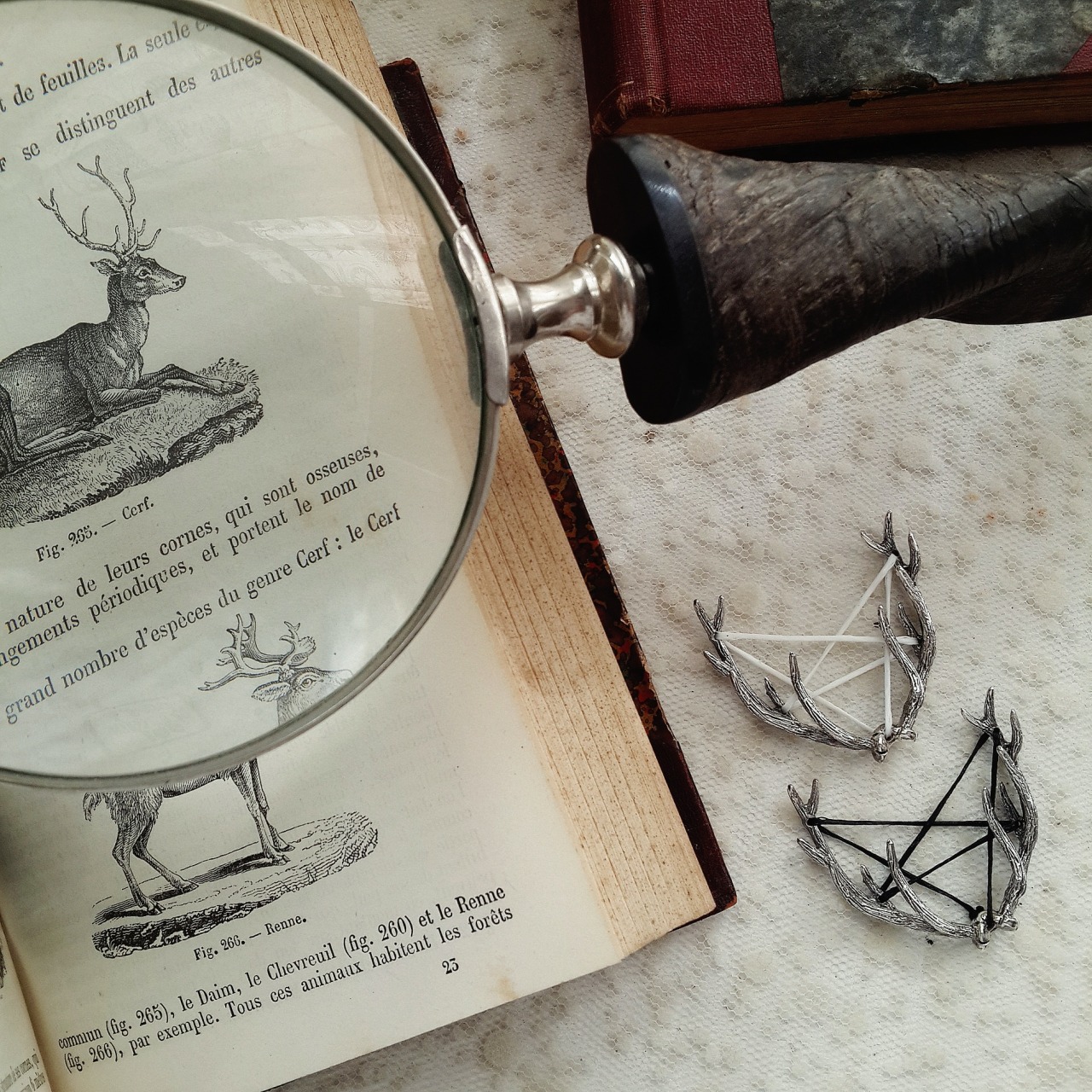 moonandserpent:   From Woodland to Spirit World: A Familiar, hand carved silver antlers
