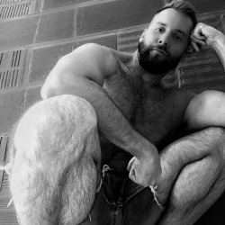 Hairy Men Heaven