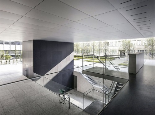 Yoshio Taniguchi + Blaser Architekten, Building WSJ-155 at the Novartis Campus, Basel, Switzerland, 