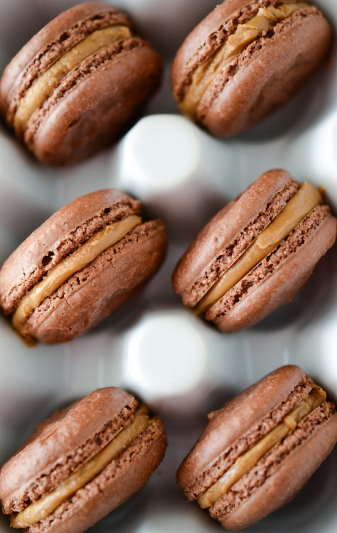 Porn Pics fresh-collective:  Chocolate Biscoff Macarons