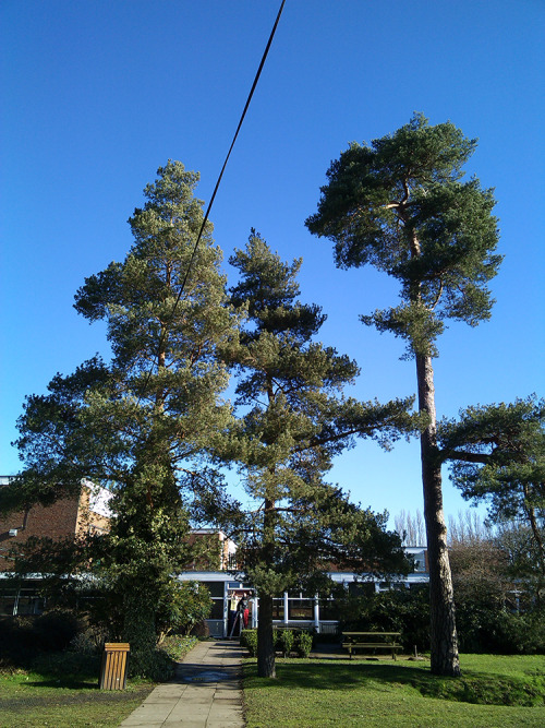 Hadlow College and the Broadview Gardens