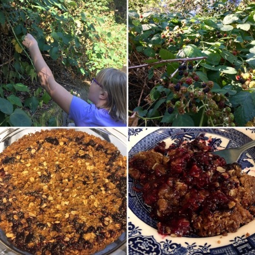 This morning we picked blackberries and made yummy blackberry crumble. Recipe: https://recipeforperf